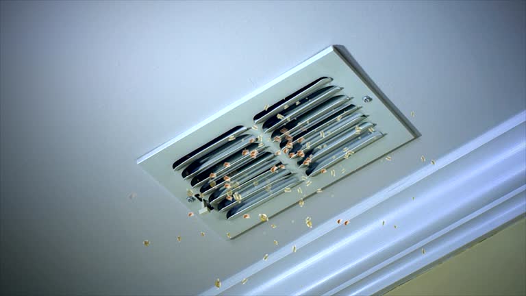 Best Home Air Vent Cleaning  in South Oroville, CA